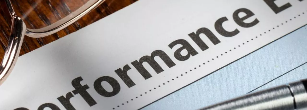 evaluacion de desempeño