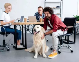 mascotas ene l trabajo